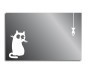 Cat&Fish - Photo 4 Cat&Fish - Photo 4